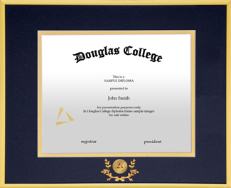 Satin gold metal diploma frame with custom minted 24k gold plated medallion